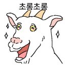 리앙키친
