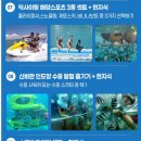 신혼여행 발리허니문패키지 어썸트래블 계약 후기 / 더웨페 허니문 400만원 지원 이벤트 상세