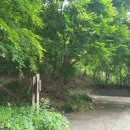 요카카 관광농원 이미지