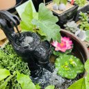 옹달샘분수 이미지