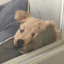 강남-136 이미지