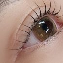 예쁜아이속눈썹