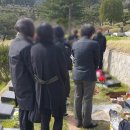 신기수목장 이미지