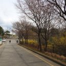 달맞이공원 입구 이미지