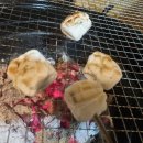 낄낄아놀자 이미지