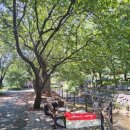 주록계곡민박 이미지