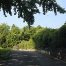 수촌리 고분군 이미지