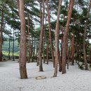 통안천 네이버블로그