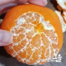 새빛유통 | 무릉외갓집 풍성한 2월 족은꾸러미 솔직후기