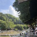 솔밭쉼터 | 대구 근교 애견동반 계곡: 군위 솔밭쉼터 평상대여 성수기 주말 7만 원 내돈내산 솔직후기 (수심, 명당...