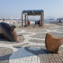 상어지 수변공원 이미지