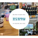 가평 운악산 카페 포도 음료가 맛있는 포도랑 햇살