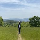 태화목장 이미지