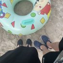 제주고래날다월정리본점