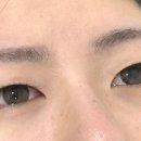 도르도르뷰티