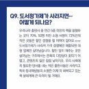 다즐링북스 이미지