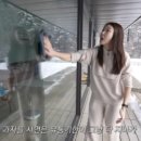 SG건강유통 이미지