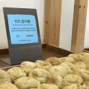 일출식당 이미지