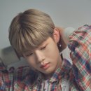 순수포토 이미지
