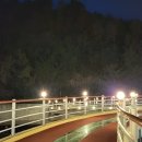 포항 해상스카이워크=국내 최장 463m 해상 스카이워크, 바다 위에서 즐기는 특별한 산책 이미지