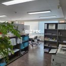 마포박사공인중개사사무소 이미지