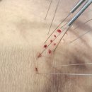 동빈한의원 이미지