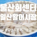 일산지 바다뷰 횟집, 초장집/울산가볼만한 곳/주말 웨이팅 후기 &#39;일산회센터_감수광, 대왕초장&#39; (1회차)