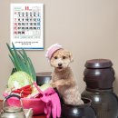 펠리스빼로 이미지