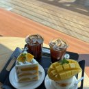 계절커피 | [아산/탕정] 계절 과일 디저트 카페 '136 커피스탠드' | 탕정 단골 카페 망고시즌 내돈내산 후기