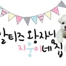 지웅동물병원 이미지