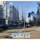 부곡동 금정세무서 앞 이미지