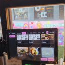 멘야네코 | 대전 은행동 라멘 맛집 멘야네코, 깔끔한 돈코츠라멘 내돈내산 후기