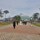 2024년 12월 1일 히게단 내한 콘서트 관람후기 일산 킨텍스 1전시장 5홀