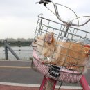 상계역 고가 밑 이미지