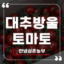 달콤한 대추방울토마토 추천 안녕삼촌농부 솔직 후기