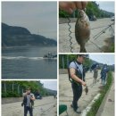 춘매국밥 | 욕지도 낚시/ 욕지도 2박3일 캠핑 낚시 조행기.