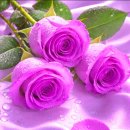에드가 튀니얀츠 ⑤ / Alone With The Rain. Crystal Dreams. etc 10곡 이미지