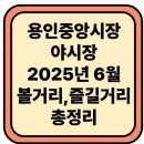 2025 용인중앙시장 별빛마당 야시장 6월 일정, 먹거리, 공연, 주차 정보 완벽 정리! 6월 27~29일 용인...