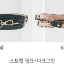 선데이에센셜 이미지
