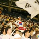대~한민국 Daum카페