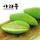 아라몰 이미지