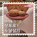 26410-591-003-10 | [14개월 아기와 삿포로 한달살기] 55~57일차 : 삿포로 장외시장, 마에다 삼림공원, 스키야키 산코샤...