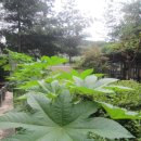 시흥대교 이미지