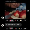 눈밭이 푸르게 변하면 그때 우리는 떠나자 불분명한 온기를 위해서