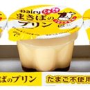 포장, 알아두면 좋은 지식(푸딩 aseptic 포장) 이미지