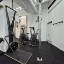 크로스핏 앤츠 이미지