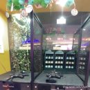 성공게임랜드 이미지