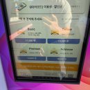 하이퍼게러지 | 부산 노터치세차장 올댓워시 사하구 게러지세차 테슬라 세차 후기