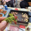 민통선산야초