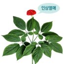 문곡16형한의원 이미지